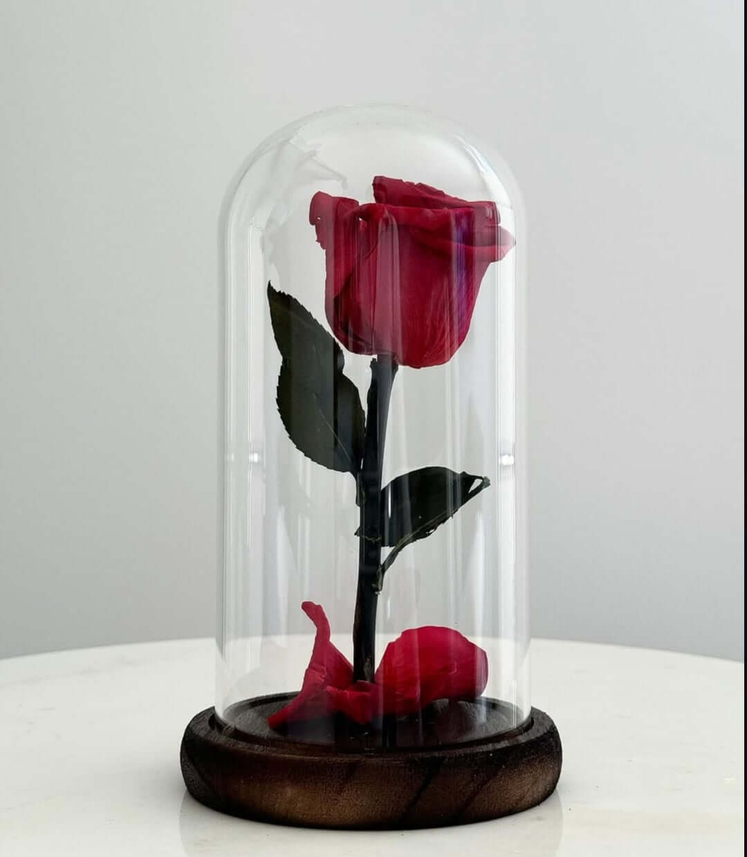 Beauty & The beast - Small