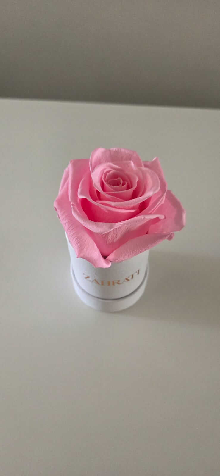 Jasmine – Eternal Rose in White Box