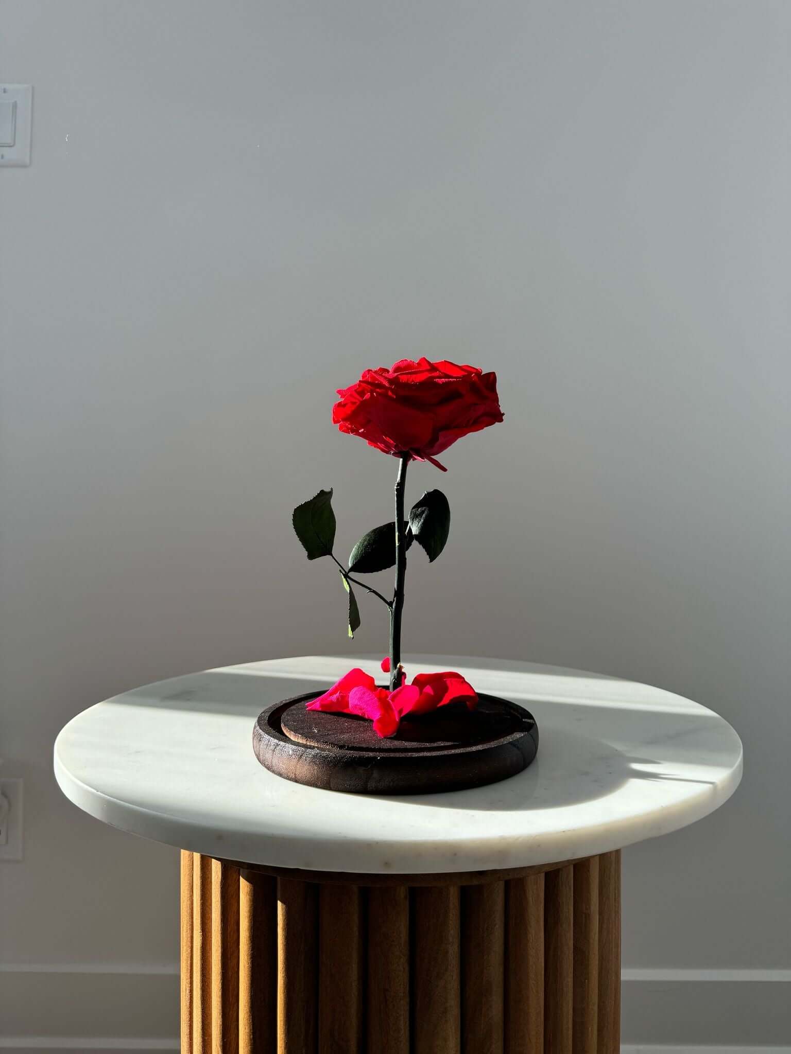 Eternal Beauty& the beast