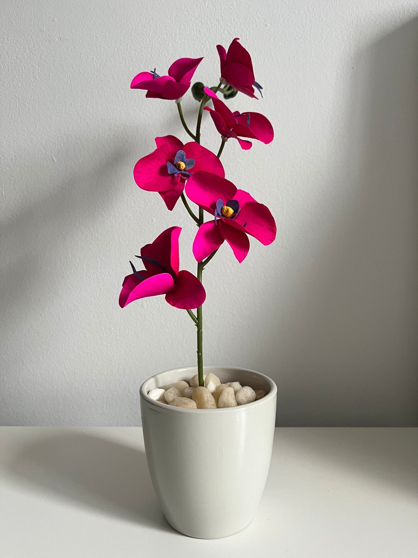 Amal – Eternal Orchids