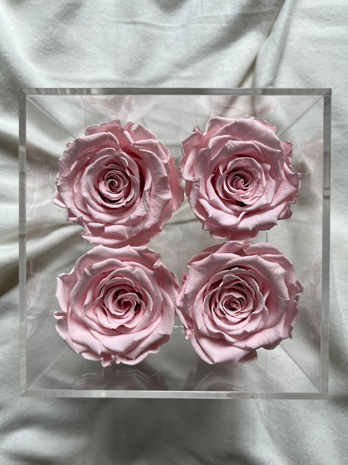 Elyanna –  4 Roses