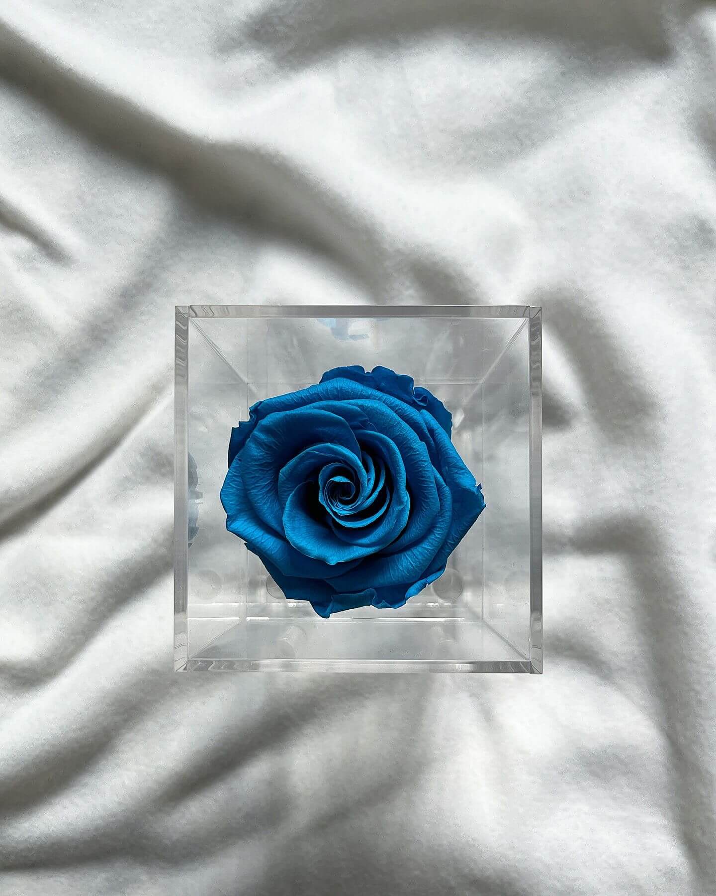 La Soltera – 1 single eternal rose