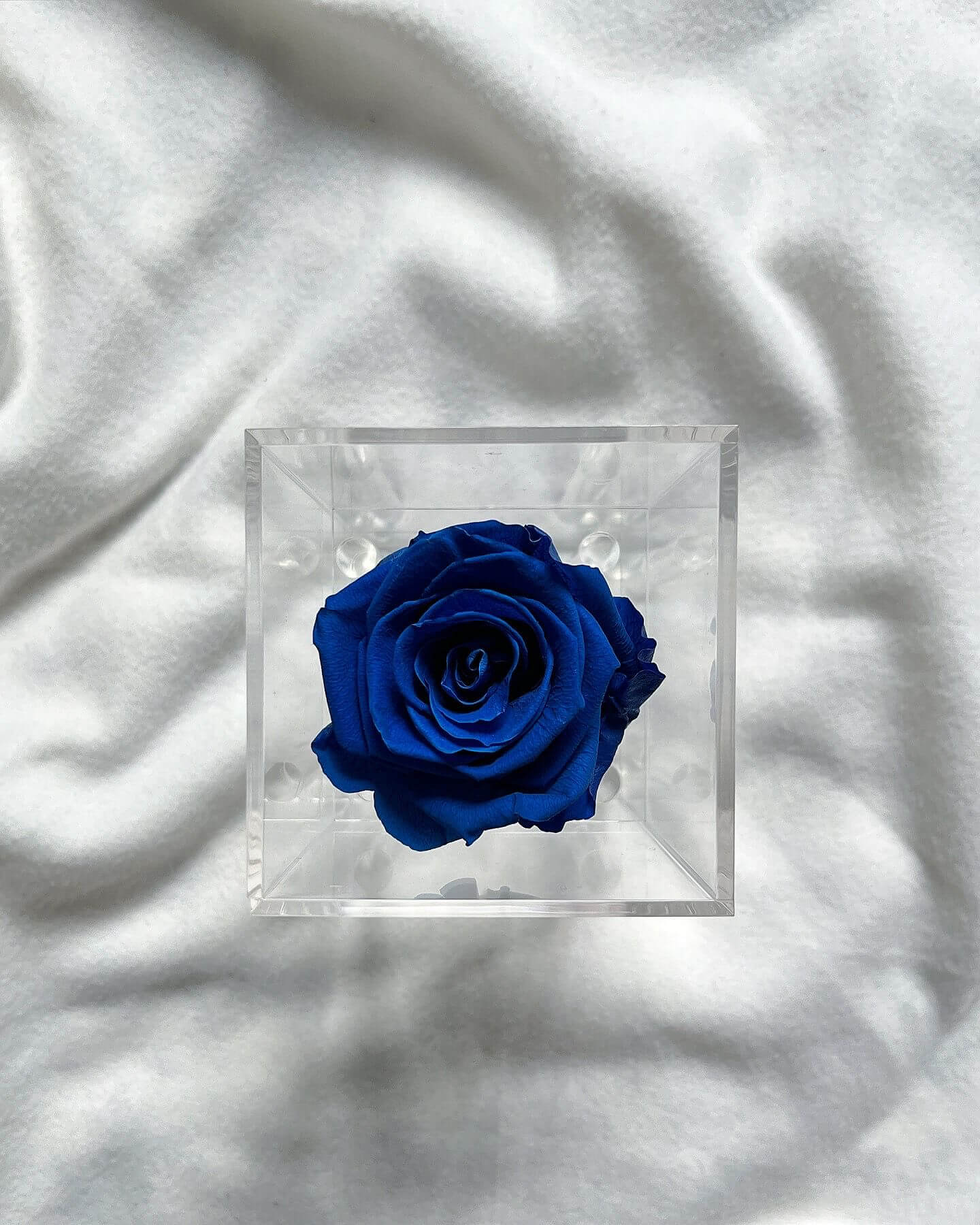 La Soltera – 1 single eternal rose