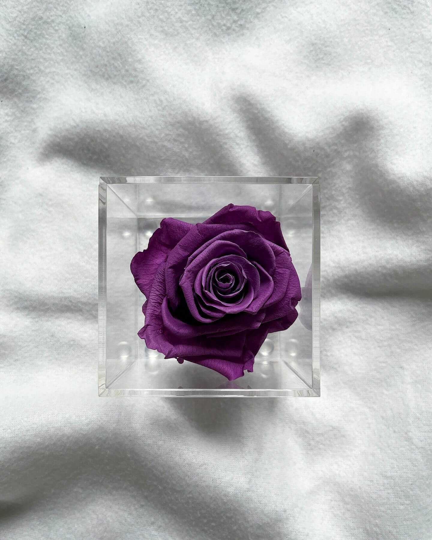 La Soltera – 1 single eternal rose