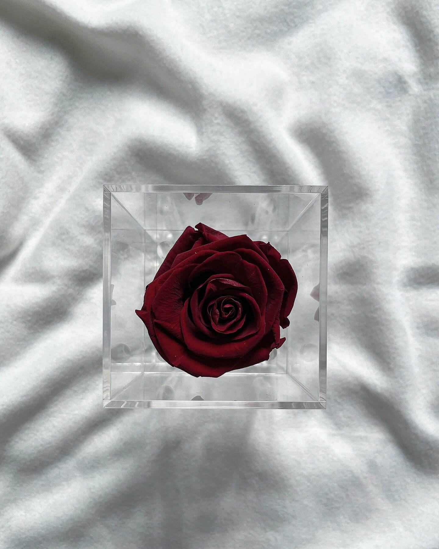 La Soltera – 1 single eternal rose