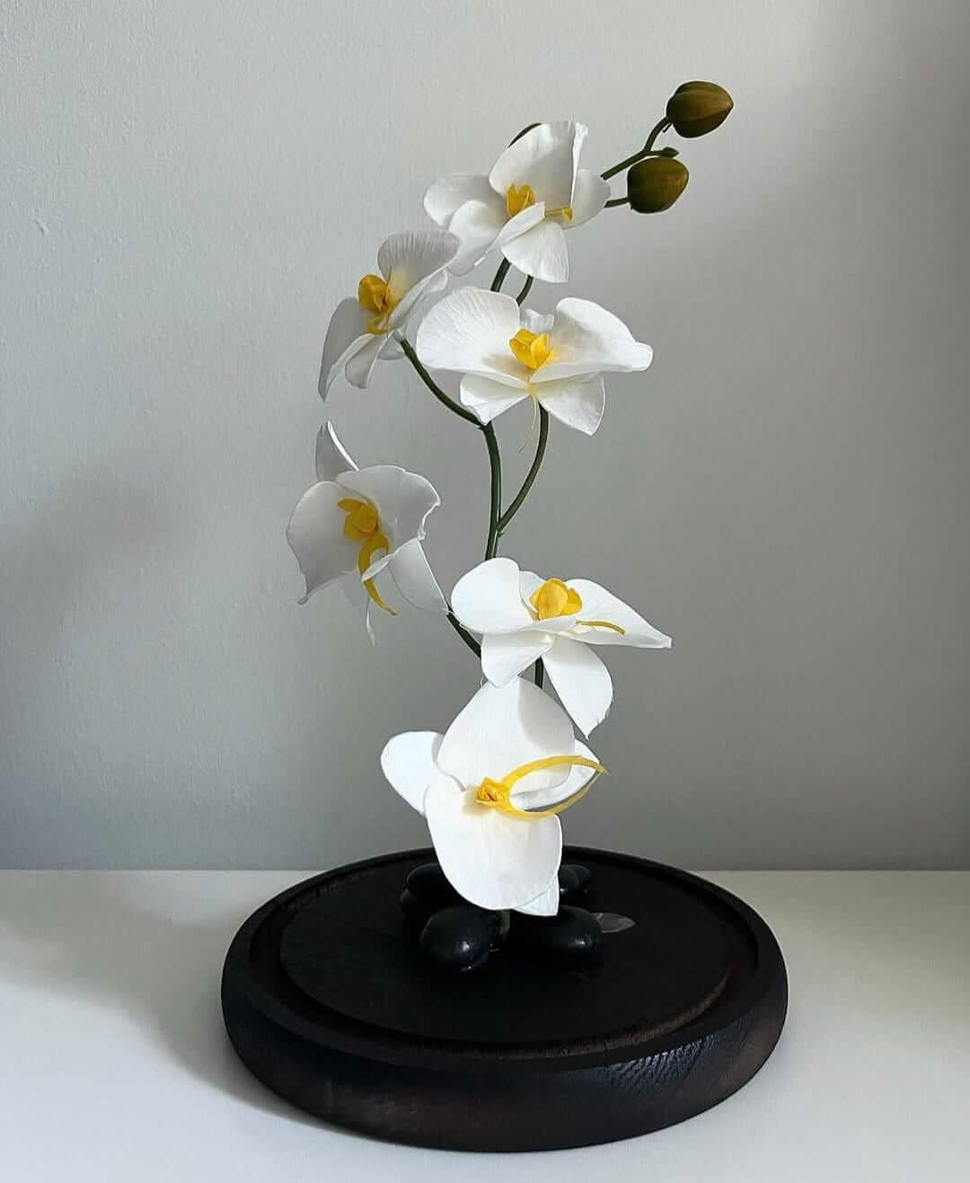 Katalyna – Luxurious Orchids Dome