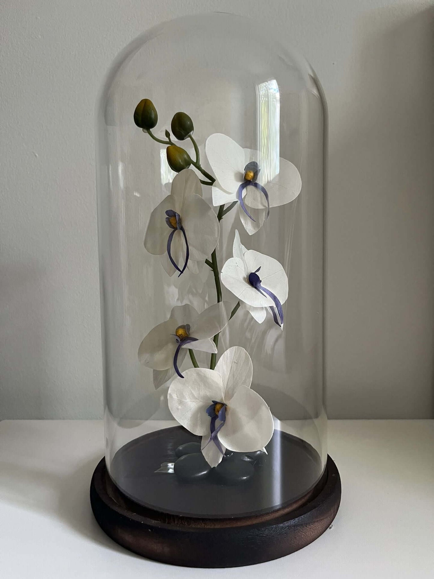 Katalyna – Luxurious Orchids Dome