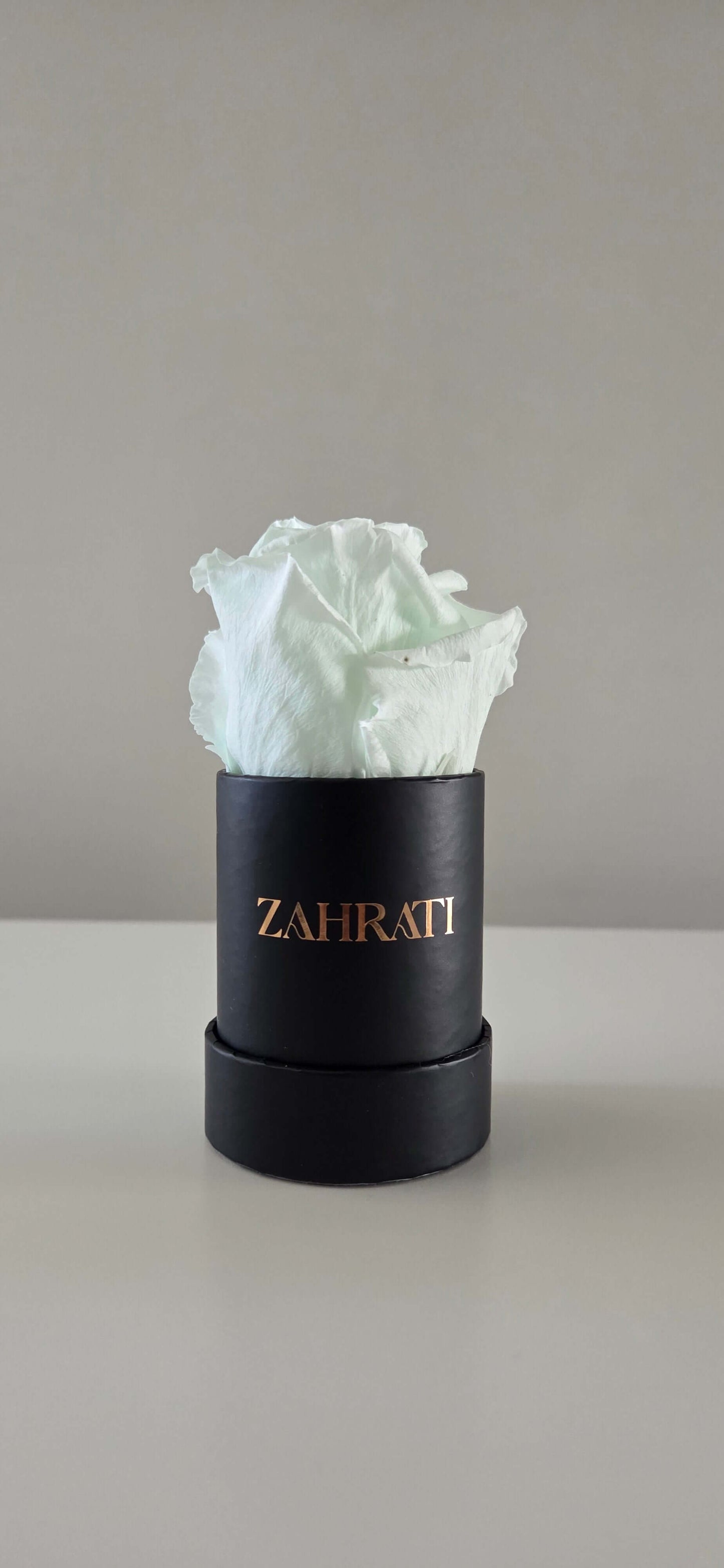 Jasmine Black - 1 Rose