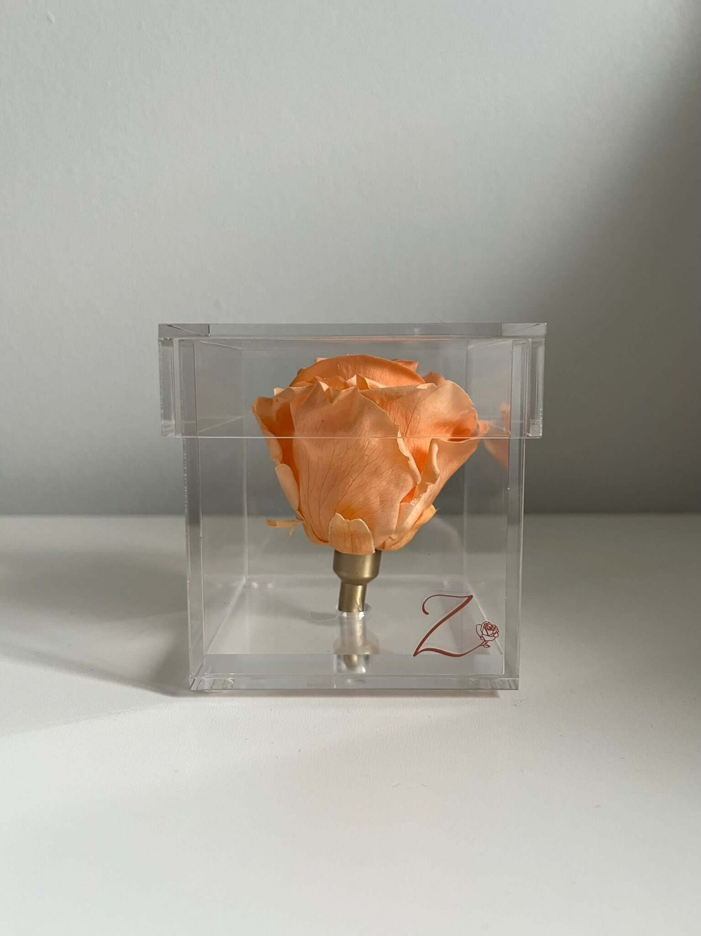 La Soltera – 1 single eternal rose